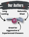 Reindeer Antler Dog Chews | Organic Chews for Dogs