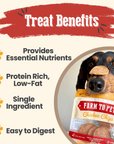 Chicken Chips Snack Pack Bundles | Dog Party Favors & Training Treats