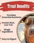 Turkey Chips for Dogs | All-Natural Single-Ingredient Healthy Dog Treats