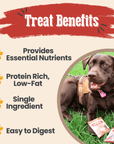 Snack Pack Dog Treat Sampler