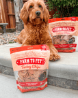 Turkey Chips for Dogs | All-Natural Single-Ingredient Healthy Dog Treats