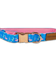 Flamingo Fiesta Collar