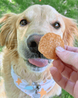 Chicken Chips for Dogs | All-Natural Single-Ingredient Dog Treats
