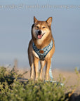 Great Wave Harness