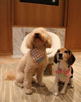 Picnic Bliss Floral Gingham Print Bandana