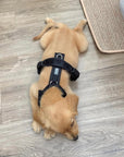 Black - Comfort Dog Harness