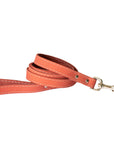 Pro Line Leather Hunting Dog Leash