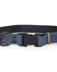 Celtic Sport Quick-Release Leather Dog Collar