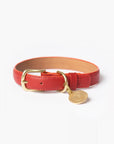 Mars Collar