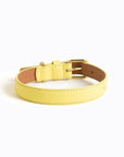 Mellow Collar