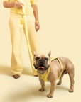 Mellow Heritage Harness