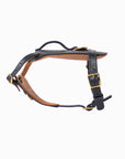 Midnight Heritage Harness