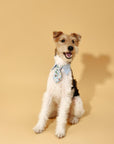 Blue Botanique Necktie Bandana