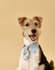 Blue Botanique Necktie Bandana