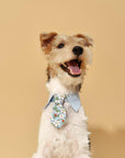 Blue Botanique Necktie Bandana
