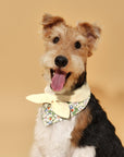Bowtiful Garden Butter Yellow Floral Bandana