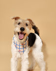 Blue Gingham Cherry Bandana