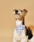 Blue Gingham Cherry Bandana