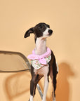 Bowtiful Garden Pink Floral Bandana