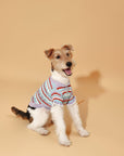 Pet & Me Spring Summer Lavender Ruffle Crochet Short Sleeve Polo Shirt