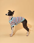 Pet & Me Spring Summer Ocean Blue Ruffle Crochet Short Sleeve Polo Shirt