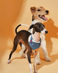 Reversible Denim Cherry Overalls Pet Bandana