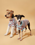 Pet & Me Spring Summer Ocean Blue Ruffle Crochet Short Sleeve Polo Shirt
