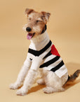 Sailor of My Heart Striped Turtleneck Sweater