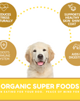 Dog Mamma's Organic Peanut Butter Banana Recipe - USDA Organic Certified Dog Treats