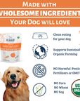 Dog Mamma's Organic Pumpkin Snaps Recipe- USDA Organic Certified Dog Treats