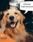 Dog Mamma's Organic Pumpkin Snaps Recipe- USDA Organic Certified Dog Treats