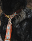 Southwest Spirit Leash