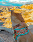 Southwest Spirit Harness