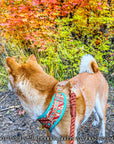 Southwest Spirit Harness