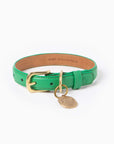 Spring Collar