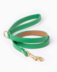Spring Leash