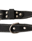 Pro Line Hunting Leather Collar and Leash Set