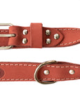 Pro Line Hunting Leather Collar and Leash Set