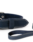 Pro Line Hunting Leather Collar and Leash Set