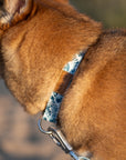 Great Wave Collar