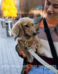 Collar - Vegan Leather - Copenhagen