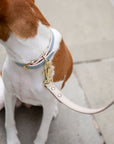 Leash 4ft - Vegan Leather - Cupertino