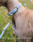 Leash 4ft - Vegan Leather