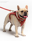 Mars Heritage Harness