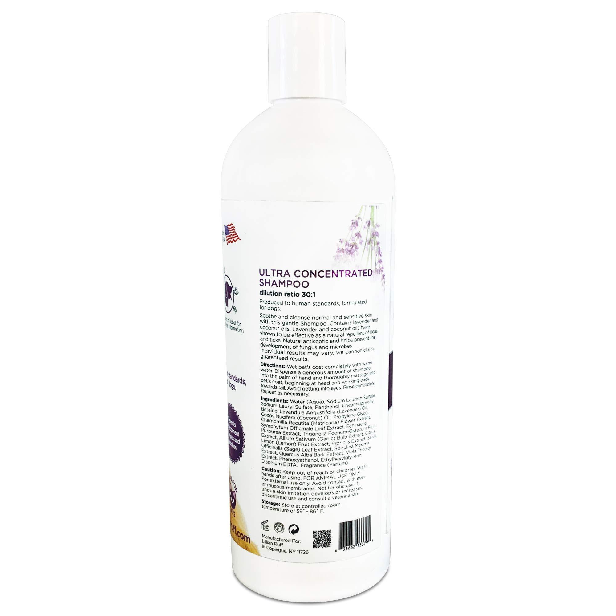 Ultra Concentrated Shampoo (16oz With Brush) - Lillian Ruff-LR-CONCENTRATED-16-BATHBRUSH