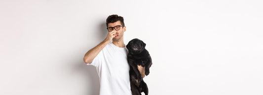 Waterless Shampoo Product Guide