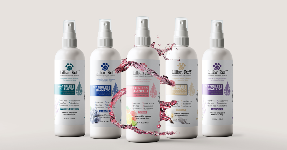 The 6 Best Waterless Dog Shampoos