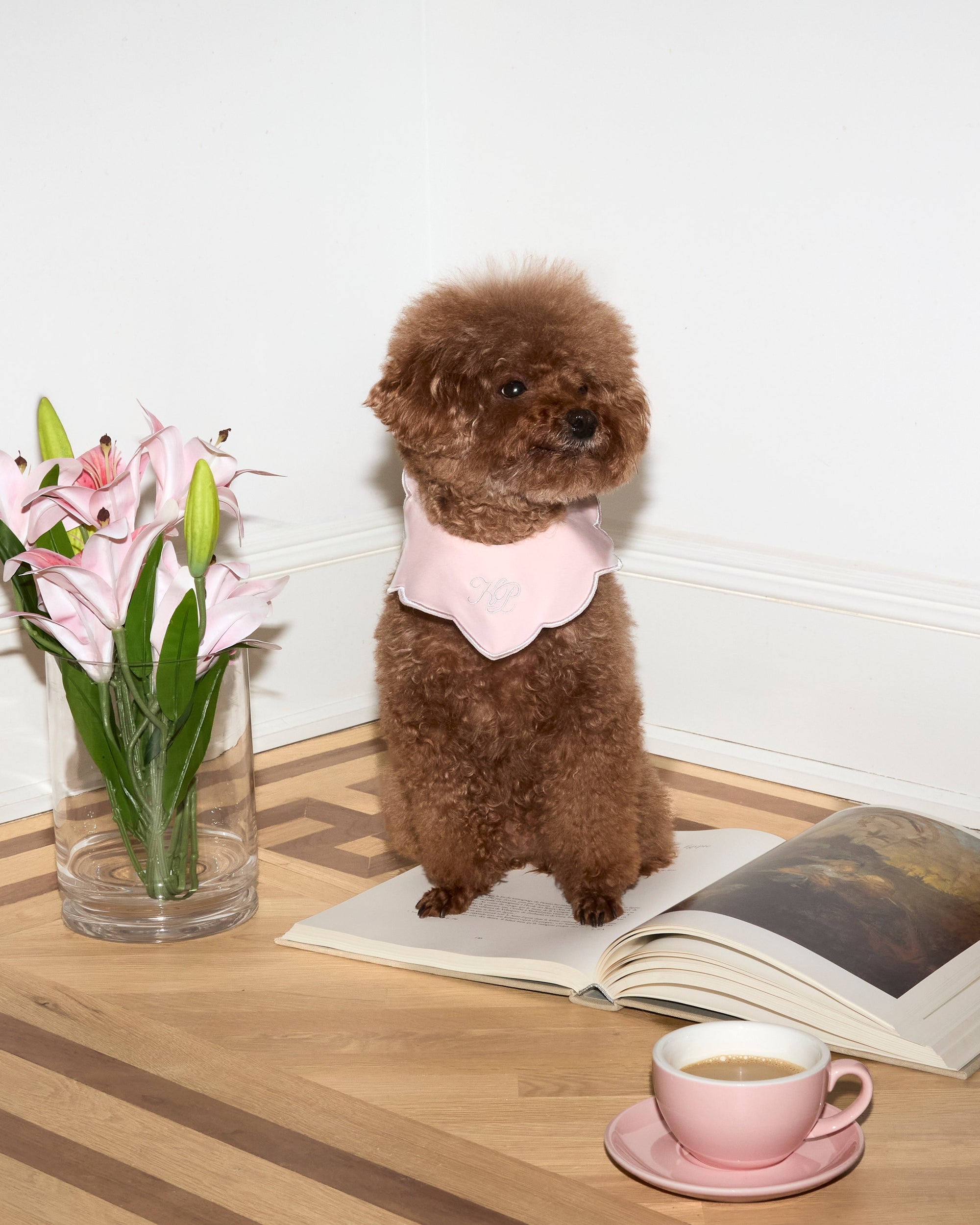 Camille Collar