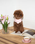Camille Collar