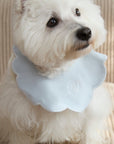 Camille Collar